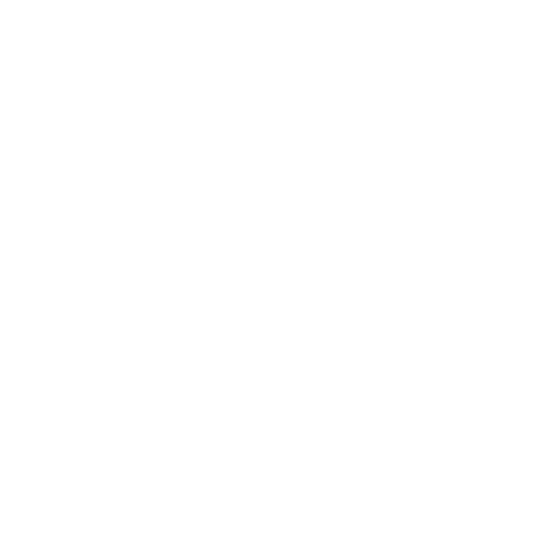 Kim Nguyen KTNG – Renfort opérationnel freelance – Tous droits réservés
